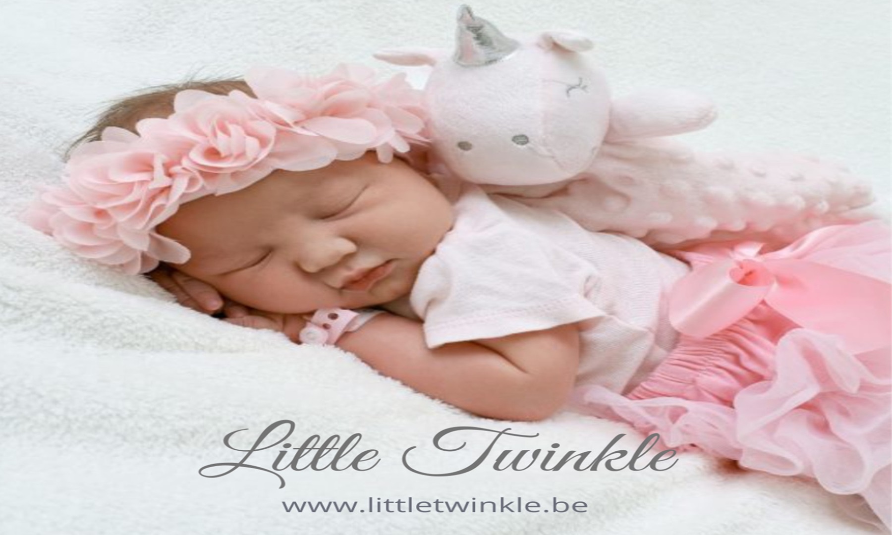 Bedrijfsfoto InTemse Little Twinkle